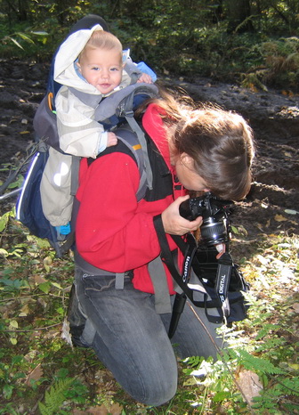 ���� ��������������